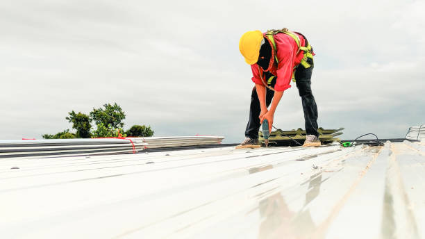 Best Storm Damage Roof Repair  in Thiensville, WI