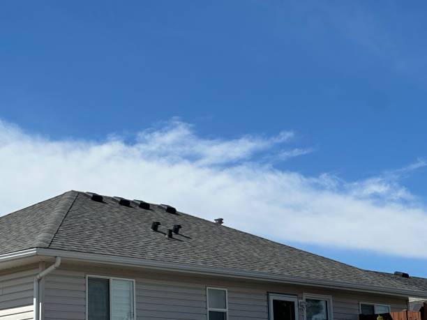 Best Roof Leak Repair  in Thiensville, WI